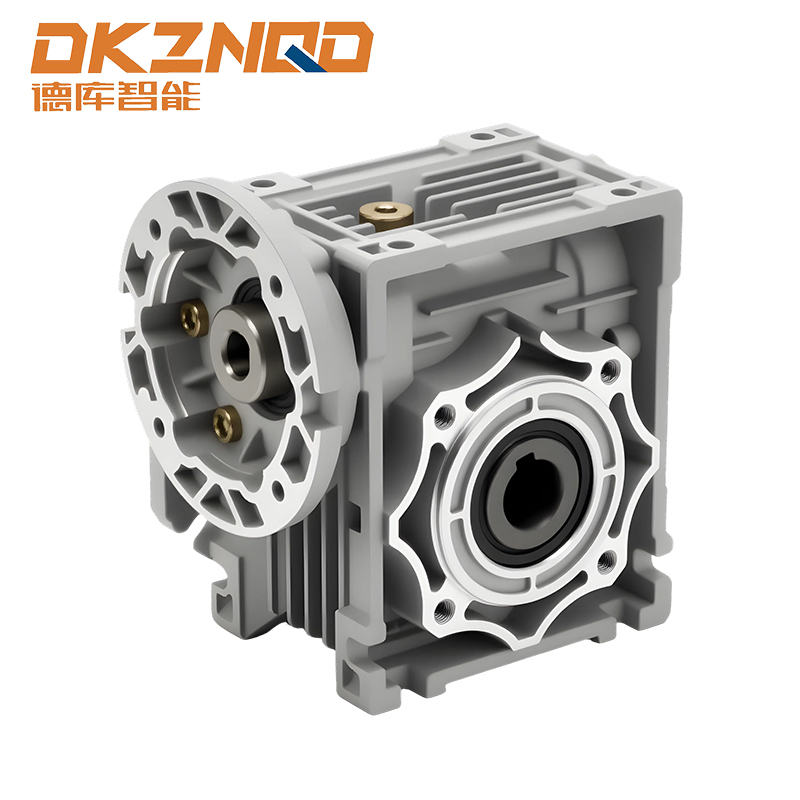 Double Extension Shaft Worm Reducer | Industrial High Torque Gearbox